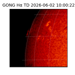 gong - 2026-06-02T10:00:22
