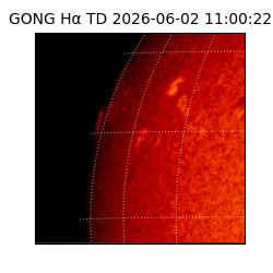 gong - 2026-06-02T11:00:22