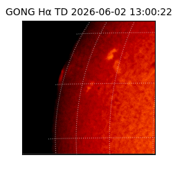gong - 2026-06-02T13:00:22