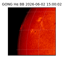 gong - 2026-06-02T15:00:02