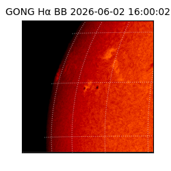 gong - 2026-06-02T16:00:02