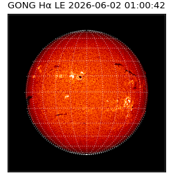 gong - 2026-06-02T01:00:42
