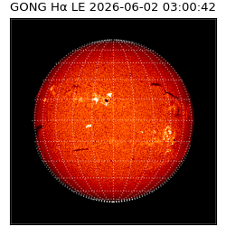 gong - 2026-06-02T03:00:42