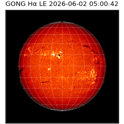 gong - 2026-06-02T05:00:42