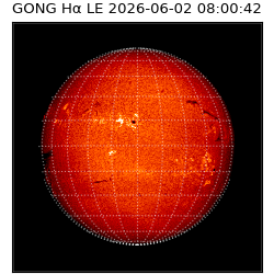 gong - 2026-06-02T08:00:42