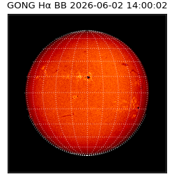 gong - 2026-06-02T14:00:02