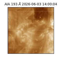 saia - 2026-06-03T14:00:04.842000