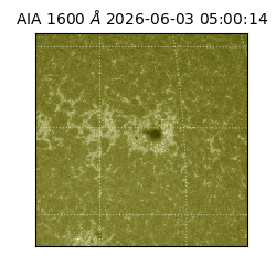 saia - 2026-06-03T05:00:14.123000