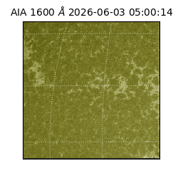 saia - 2026-06-03T05:00:14.123000