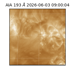 saia - 2026-06-03T09:00:04.842000