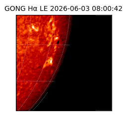 gong - 2026-06-03T08:00:42