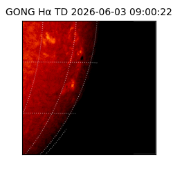 gong - 2026-06-03T09:00:22