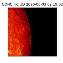 gong - 2026-06-03T02:19:02