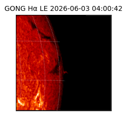 gong - 2026-06-03T04:00:42