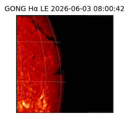gong - 2026-06-03T08:00:42