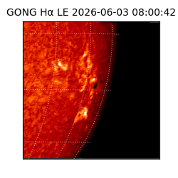 gong - 2026-06-03T08:00:42