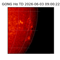 gong - 2026-06-03T09:00:22