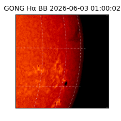 gong - 2026-06-03T01:00:02