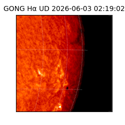 gong - 2026-06-03T02:19:02