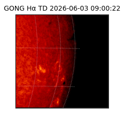 gong - 2026-06-03T09:00:22