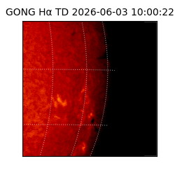 gong - 2026-06-03T10:00:22
