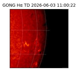 gong - 2026-06-03T11:00:22