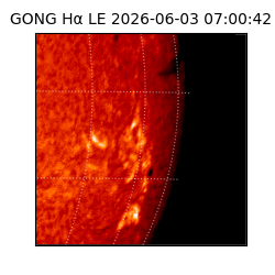 gong - 2026-06-03T07:00:42