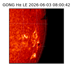gong - 2026-06-03T08:00:42