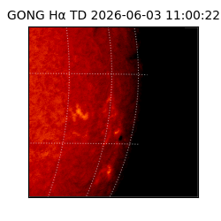 gong - 2026-06-03T11:00:22