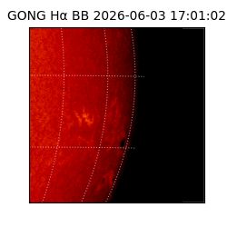 gong - 2026-06-03T17:01:02