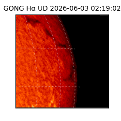 gong - 2026-06-03T02:19:02