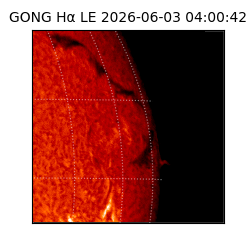 gong - 2026-06-03T04:00:42