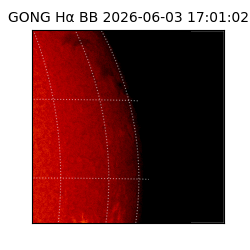 gong - 2026-06-03T17:01:02