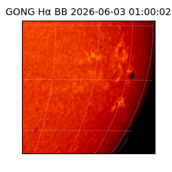 gong - 2026-06-03T01:00:02
