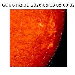 gong - 2026-06-03T05:00:02