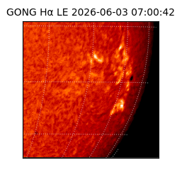 gong - 2026-06-03T07:00:42