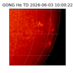 gong - 2026-06-03T10:00:22
