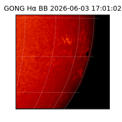 gong - 2026-06-03T17:01:02