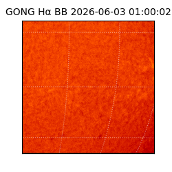 gong - 2026-06-03T01:00:02