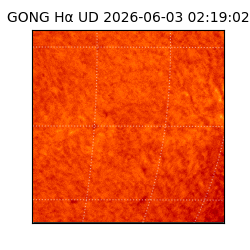 gong - 2026-06-03T02:19:02
