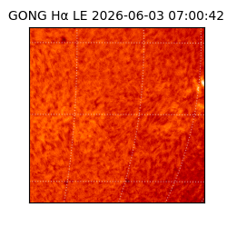 gong - 2026-06-03T07:00:42