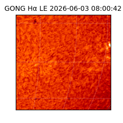 gong - 2026-06-03T08:00:42