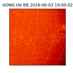 gong - 2026-06-03T19:00:02