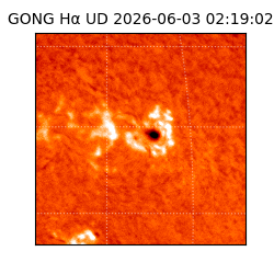 gong - 2026-06-03T02:19:02
