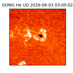 gong - 2026-06-03T03:00:02