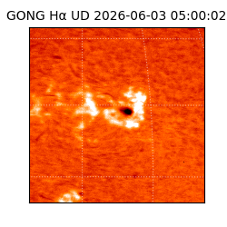 gong - 2026-06-03T05:00:02