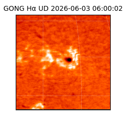 gong - 2026-06-03T06:00:02