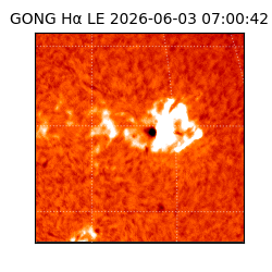 gong - 2026-06-03T07:00:42