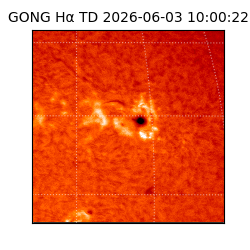 gong - 2026-06-03T10:00:22