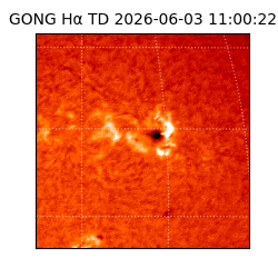 gong - 2026-06-03T11:00:22